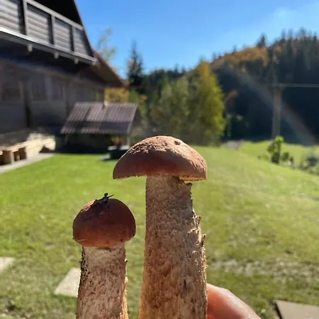 Chalet Cha Vysoka nad Kysucou